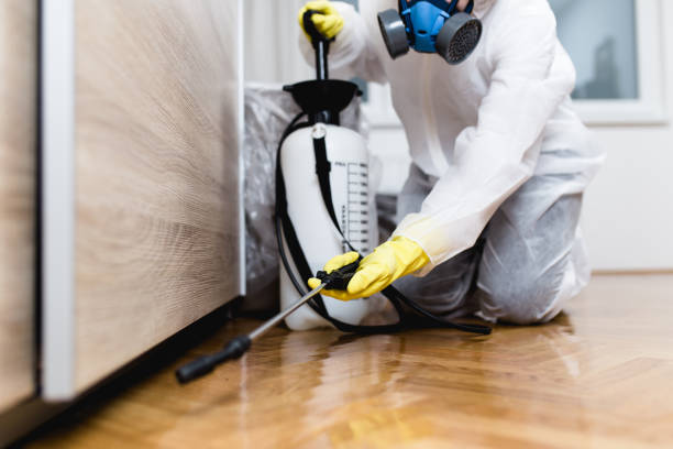 Best Pest Control for Homes  in Logan, UT