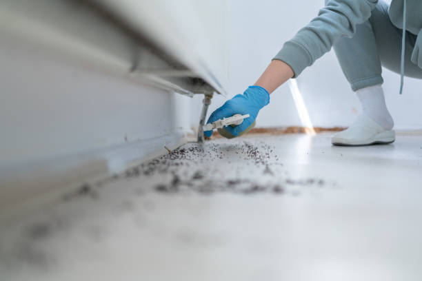 Best Exterminator Services  in Logan, UT